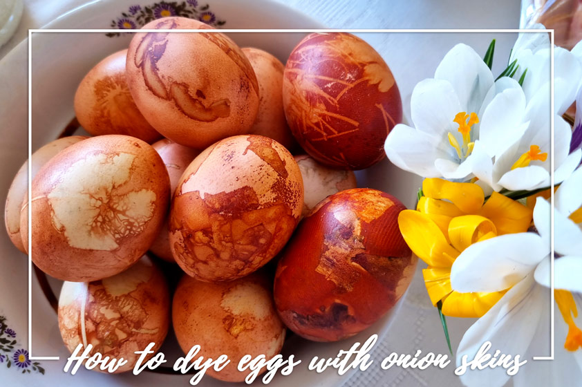 Dye eggs with onion skins
